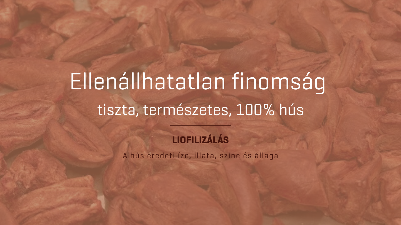 lyofilizáció